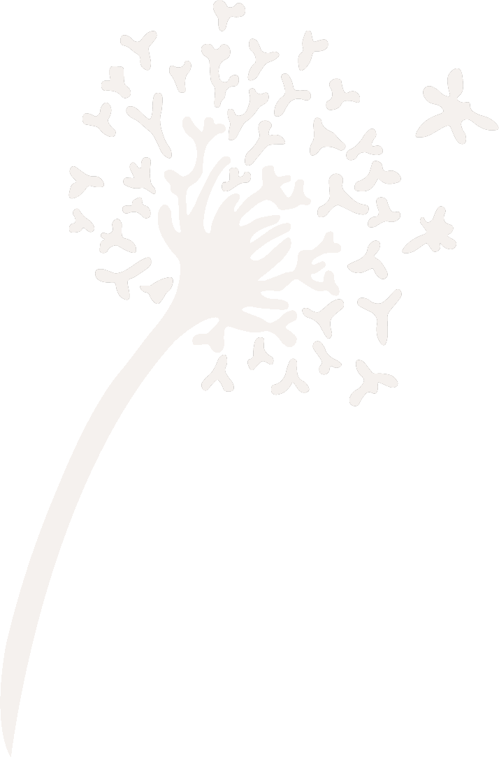 Barwon Occupational Therapy logo